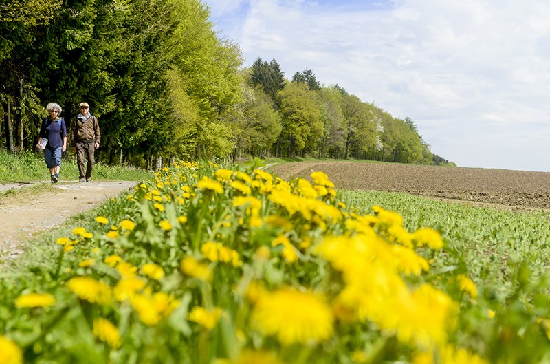 In der Nähe von Corrençon, wo der Täter und seine Geliebte ihre Giftmorde planten. Bild: Daniel Fuchs