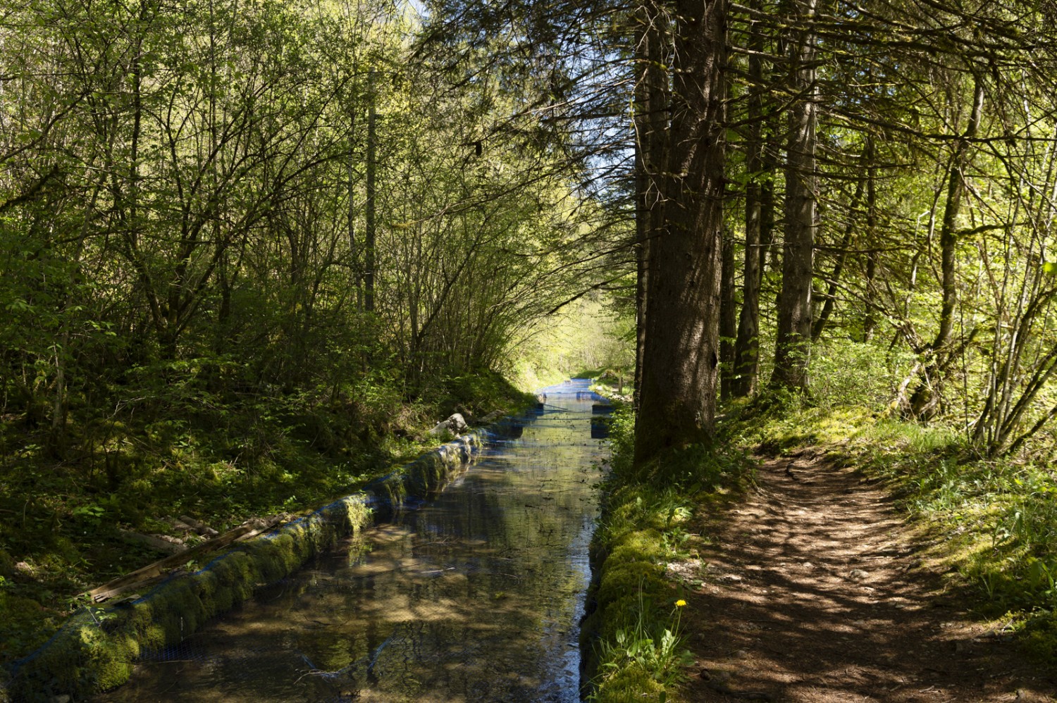 Dem Wasser ganz nahe: Der Weg führt einem Kanal der Fischer entlang. Bild: Raja Läubli