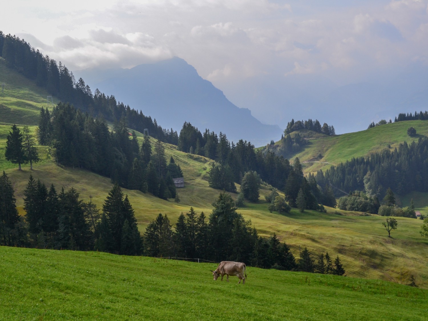 Liebliche Landschaft beim Hochstuckli. Foto: Sabine Joss