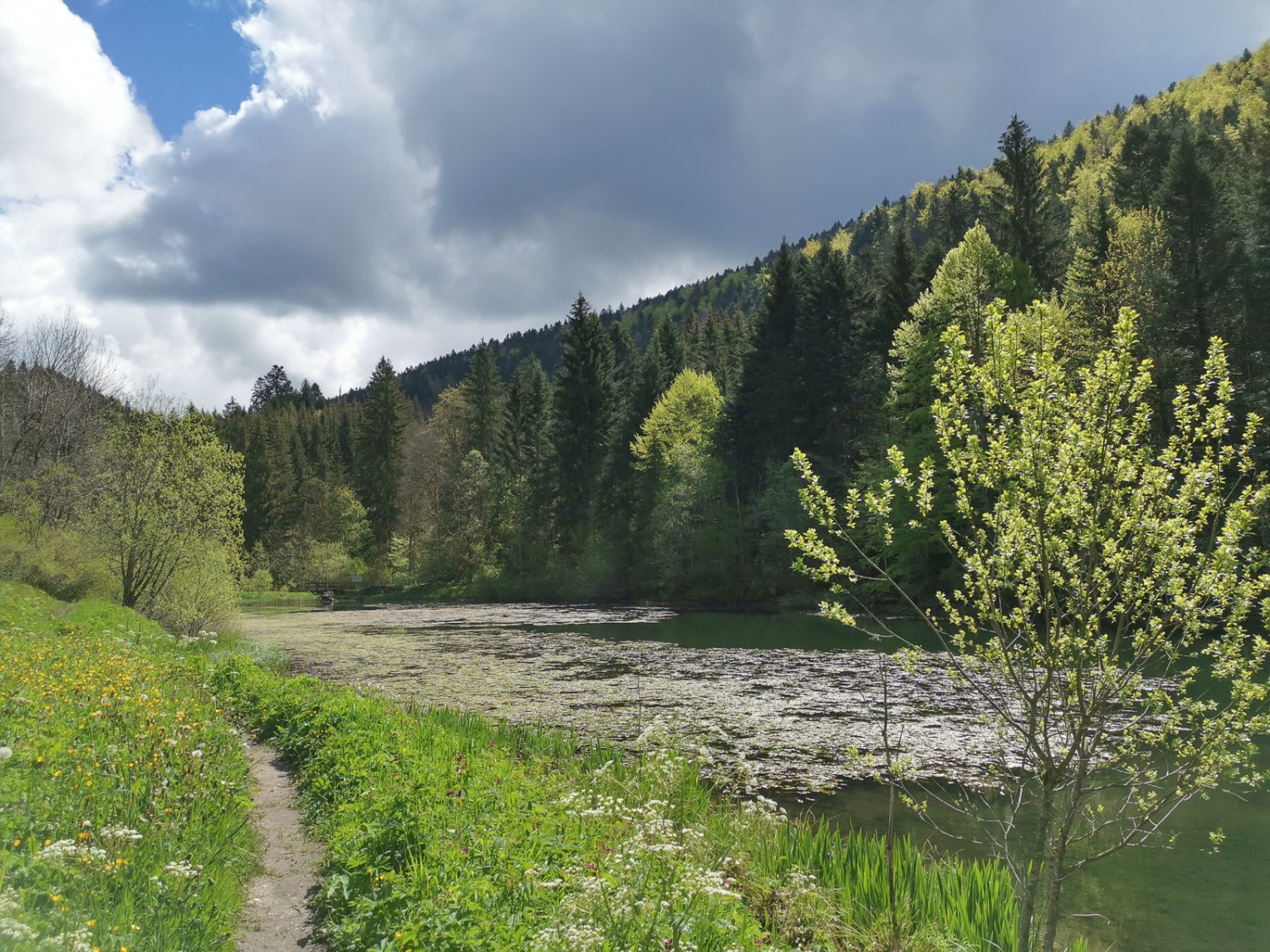 Am Etang de Bollement. Bild: Evelyne Zaugg