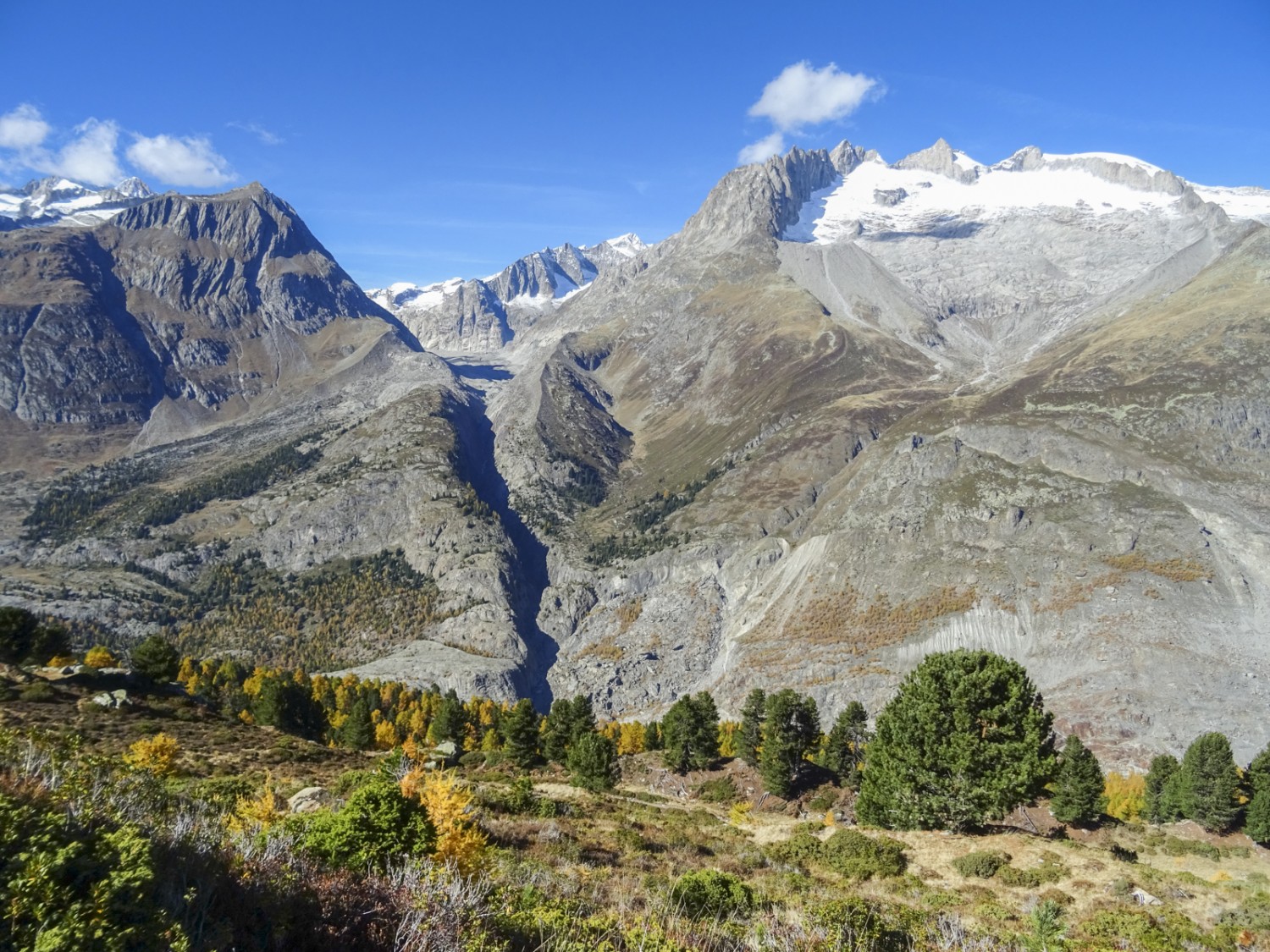 Vue à travers le glacier d'Aletsch en direction du glacier d'Oberaletsch, avec à droite le Grosse Fusshorn et le Geisshorn. Photo : Sabine Joss