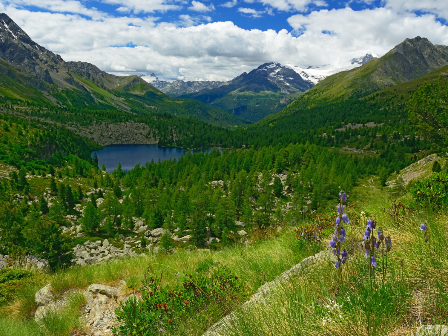 Il lago di Val Viola a 2159 m s.l.m. Foto: natur-welten.ch