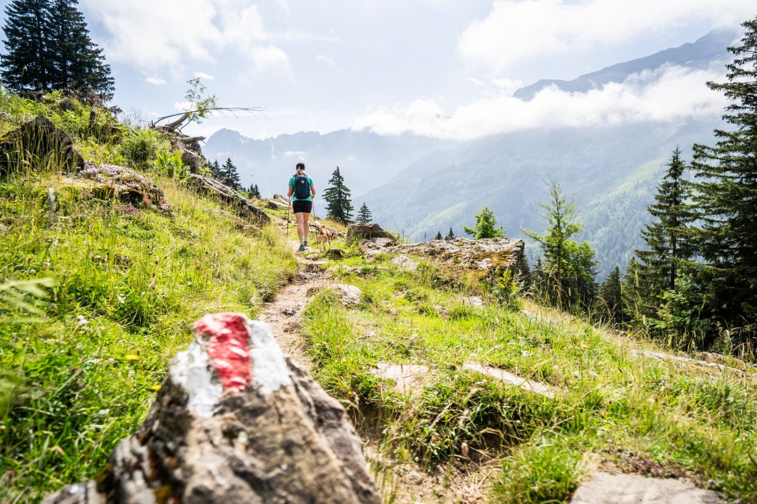 Chemin de randonnée paradisiaque: le sentier partant du lac Retaud est une splendeur.