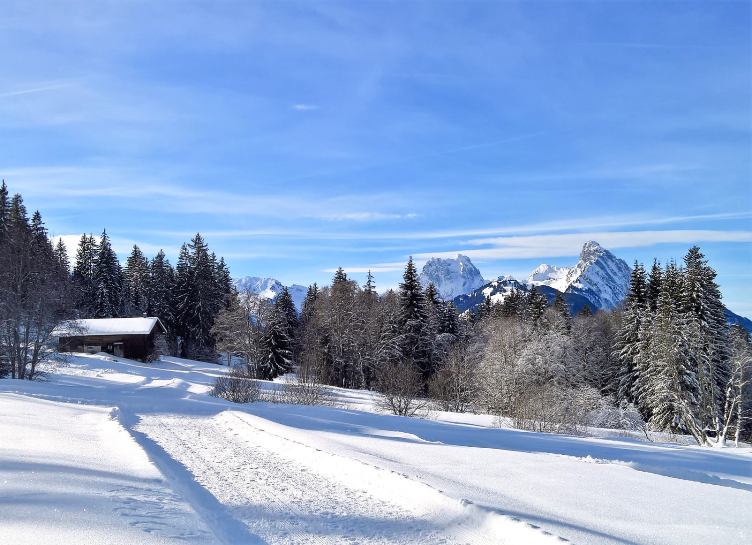 Entre Wittere et Schlittmoos, vue sur la Gummfluh et Le Rubli. Photo: Andreas Staeger