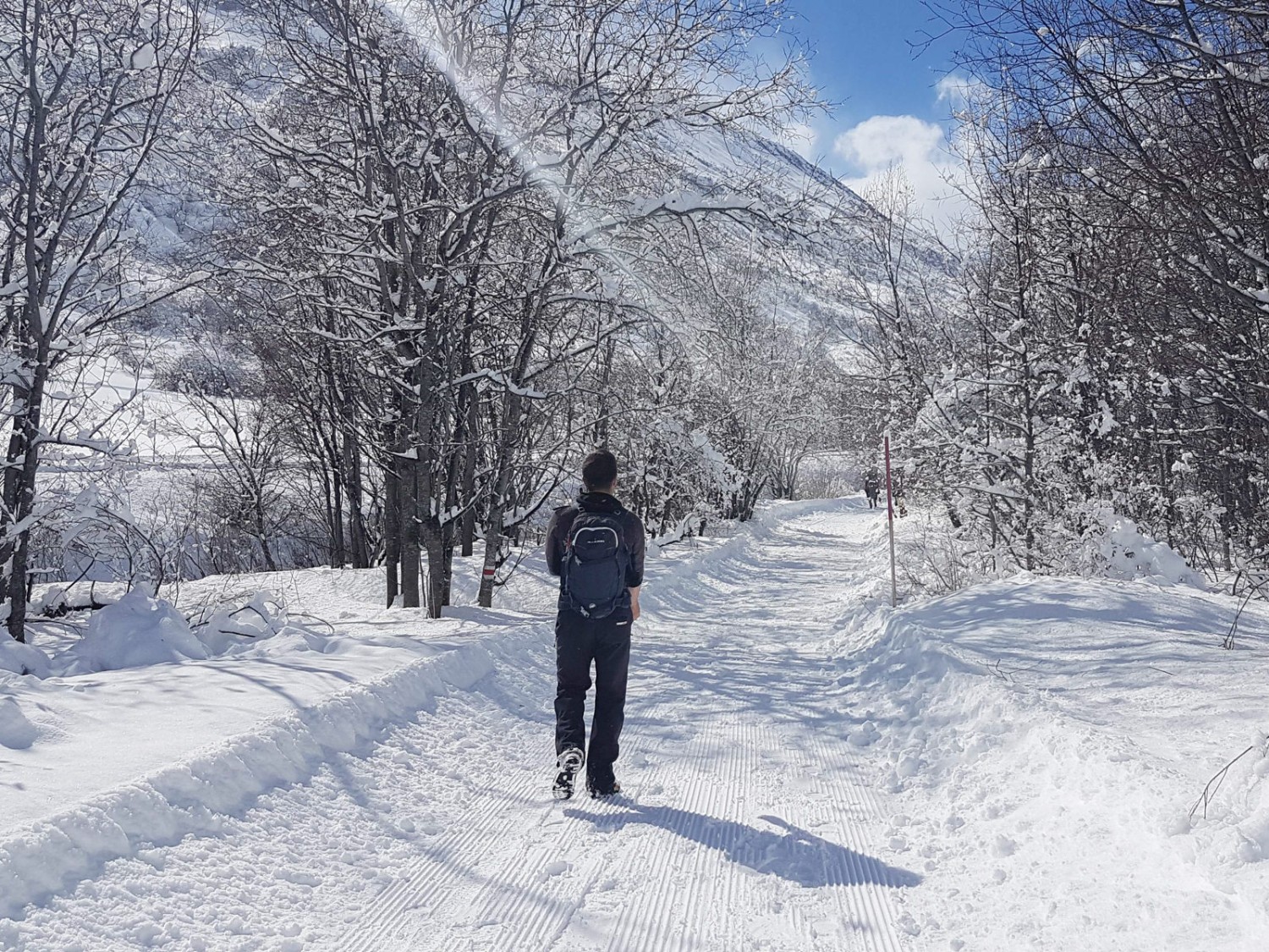 Winterwanderweg nach Realp. Bild: Laura Riedi