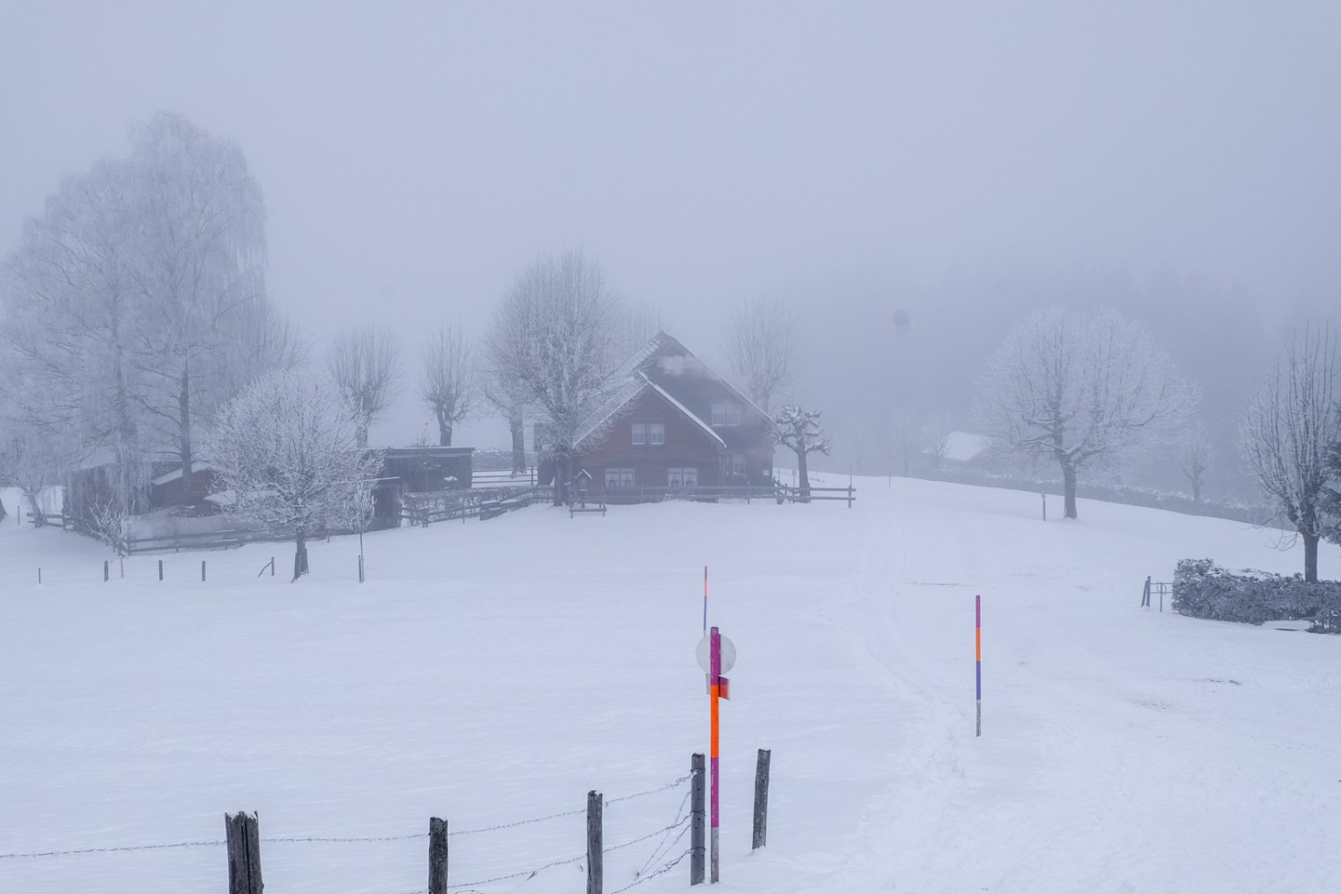 Das Berggut Ros.  Bild: Elsbeth Flüeler