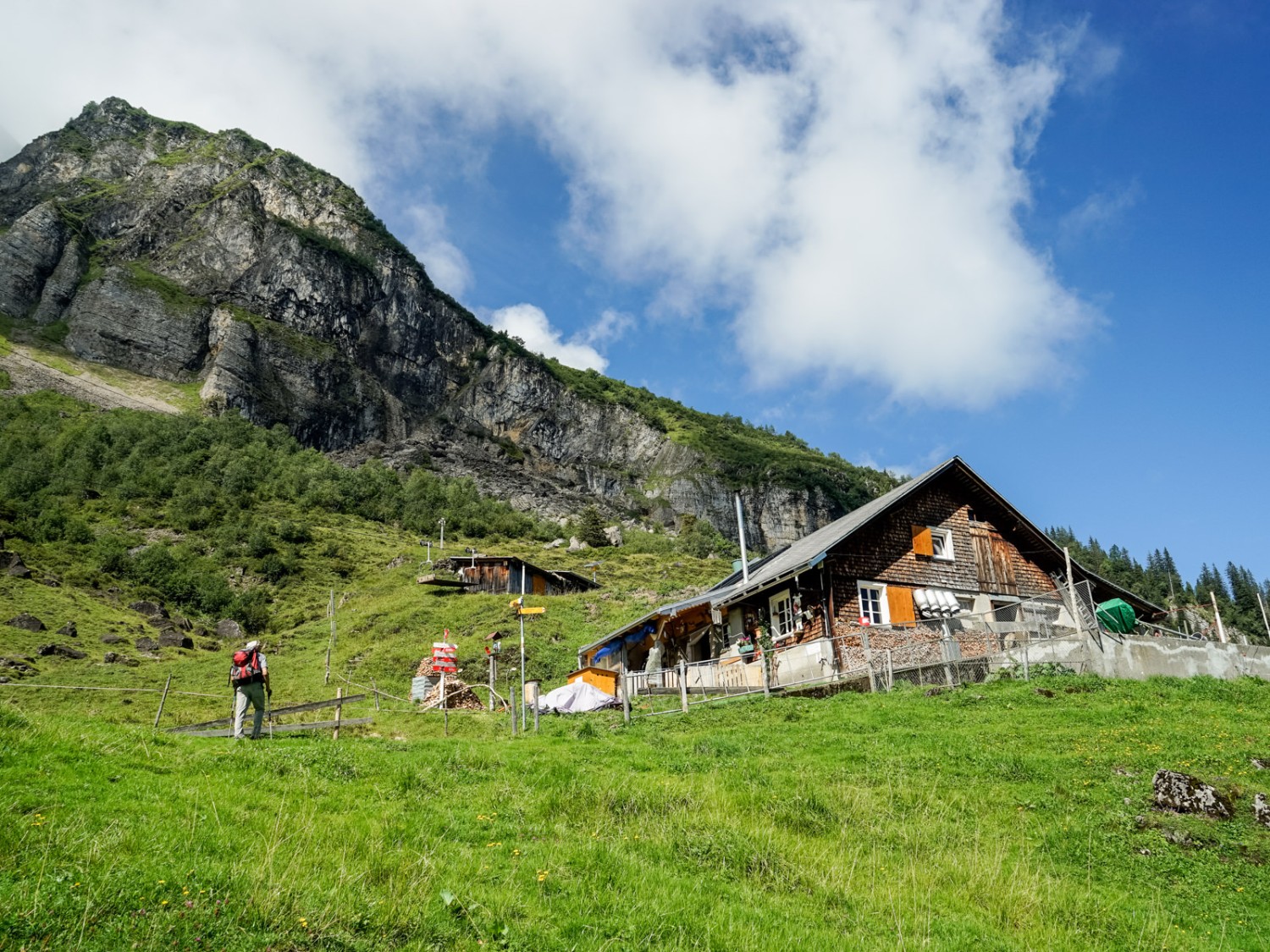 Sur l’alpage Gigen. Photo: Fredy Joss