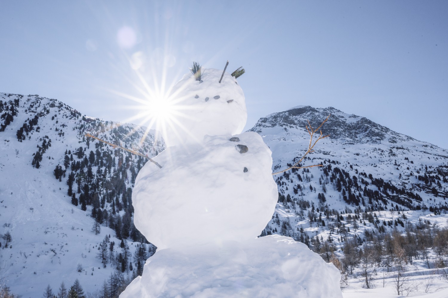 Nicht nur Menschen halten sich im Val Morteratsch auf. Bild: Jon Guler