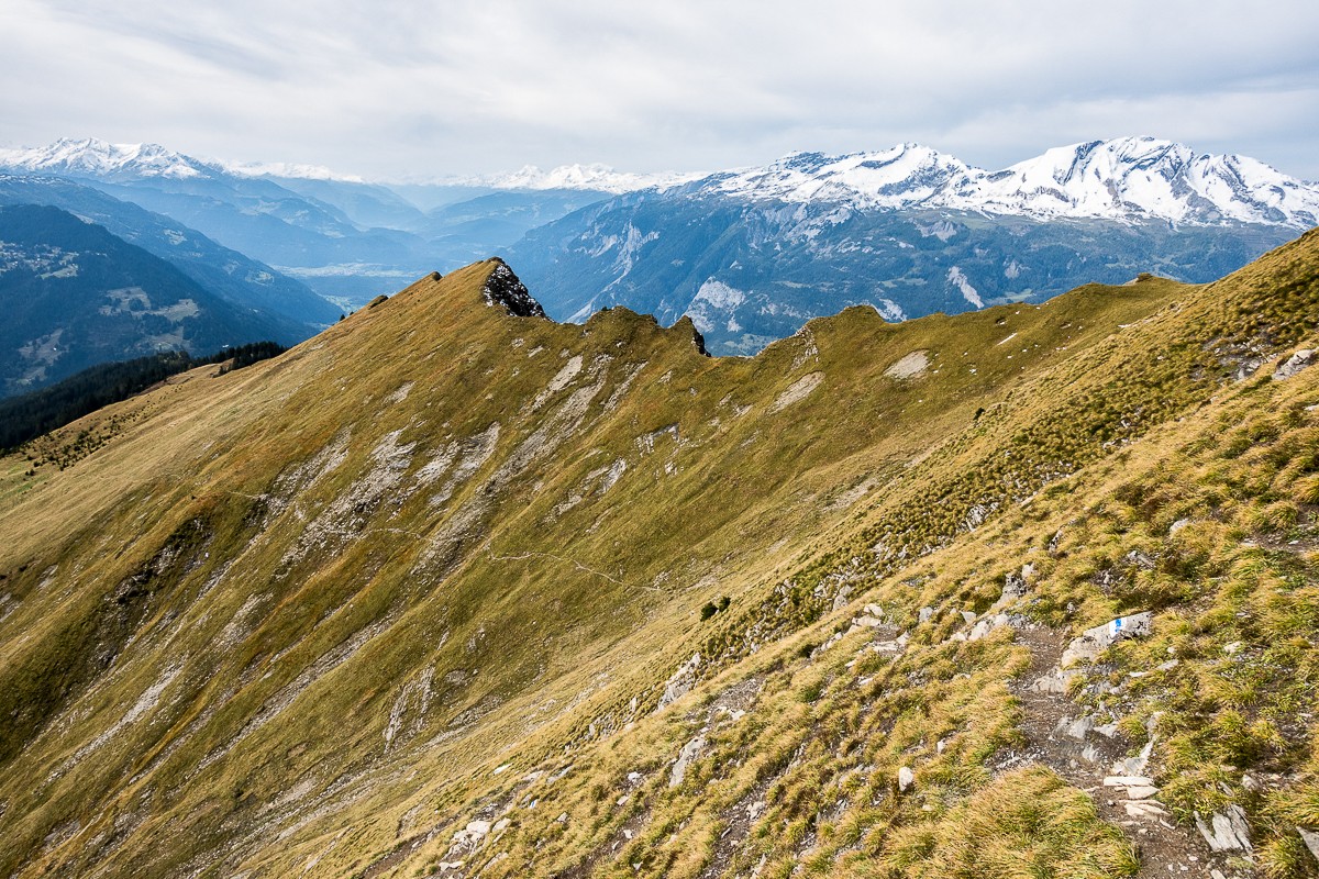 Le long de la pente abrupte qui monte au Montalin. Photo: Fredy Joss