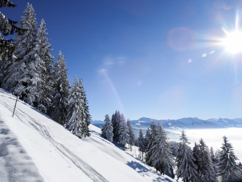 Glücklich, wer sich an einem solchen Tag über dem Nebel befindet. (Foto: Vera In-Albon)