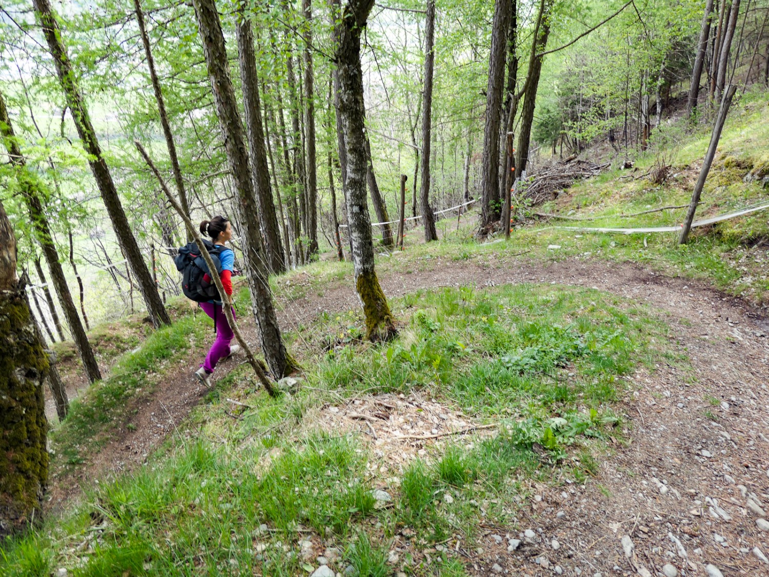 Emergeant de la verdure, le chemin traverse Unterems. Photo: Ulrike Marx