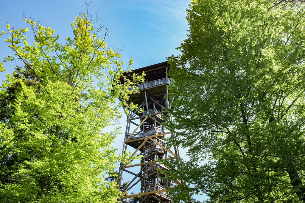 Alles im Blick vom Aussichtsturm Lorenchopf. Bild: Claudia Peter