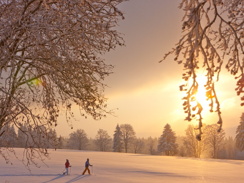 Ein Netz von signalisierten Trails durchzieht die Gegend. Bild: Jura Tourisme