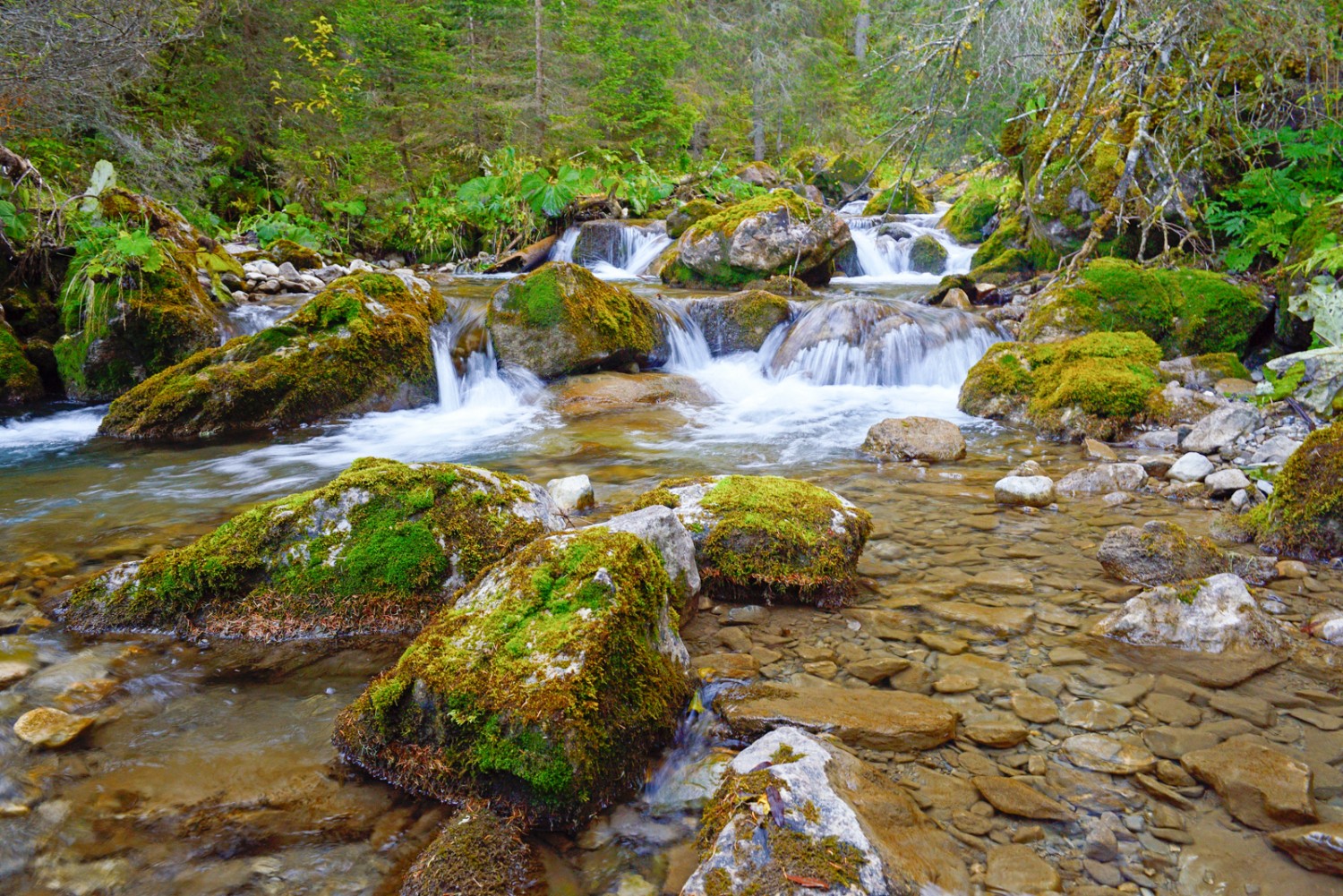 Petits rapides de la Vièze. Photo: natur-welten.ch