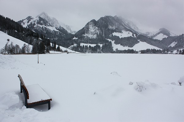 Un autre paysage enchanteur, mais réel, autour du lac Noir.
Photo: Anne-Sophie Scholl