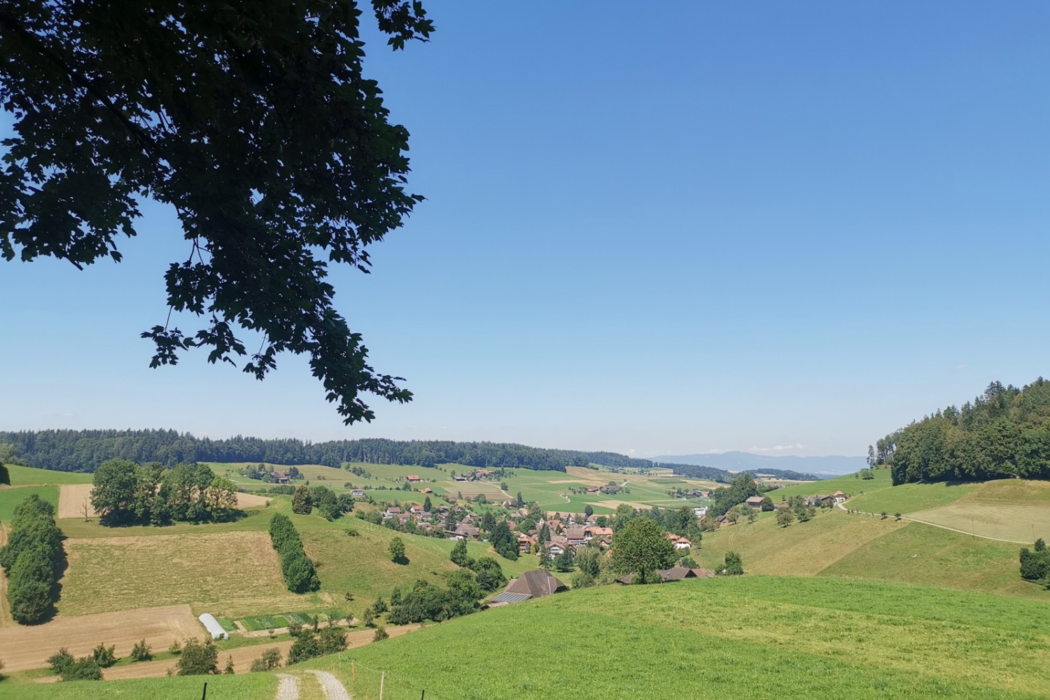 Descente vers Ursenbach, dont l’église compte des vitraux de grande valeur historique. Photo: Evelyne Zaugg.