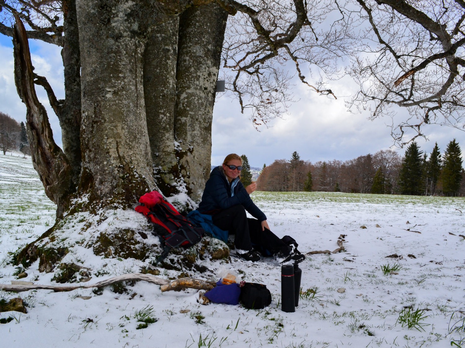 Pause fraîche et rapide sous un hêtre majestueux. Photo: Sabine Joss