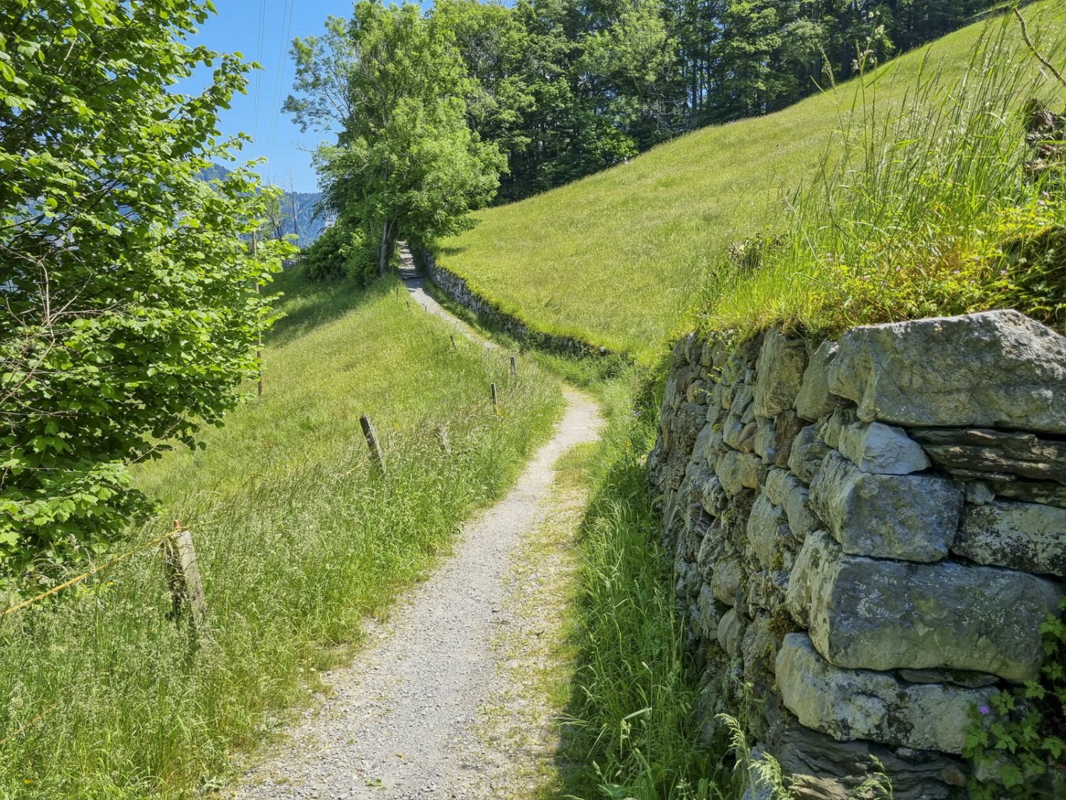 Viele Wegabschnitte sind von Trockenmauern gesäumt. Bild: Simon Liechti