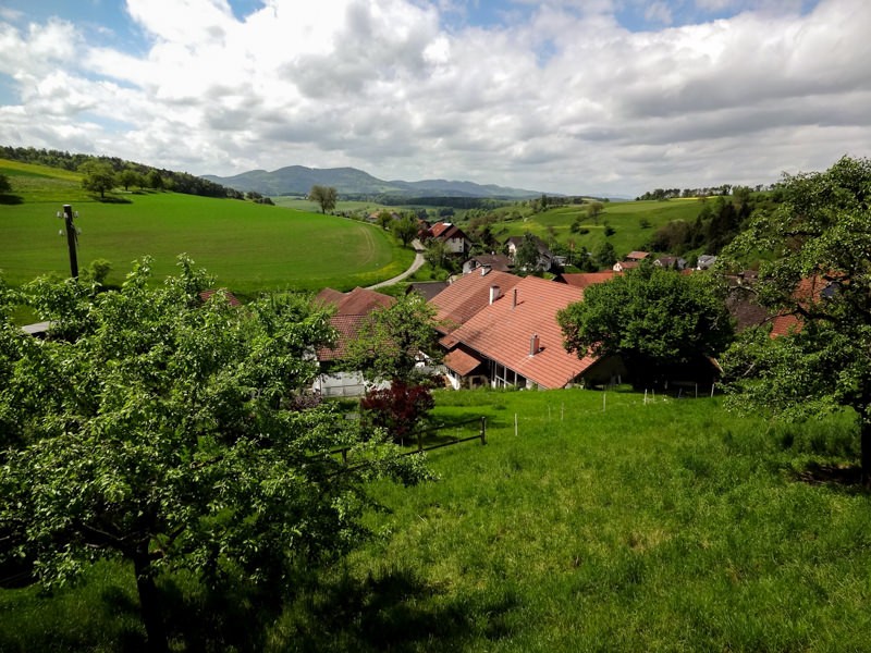 Elfingen, un village niché entre les collines. Photos: Miroslaw Halaba 