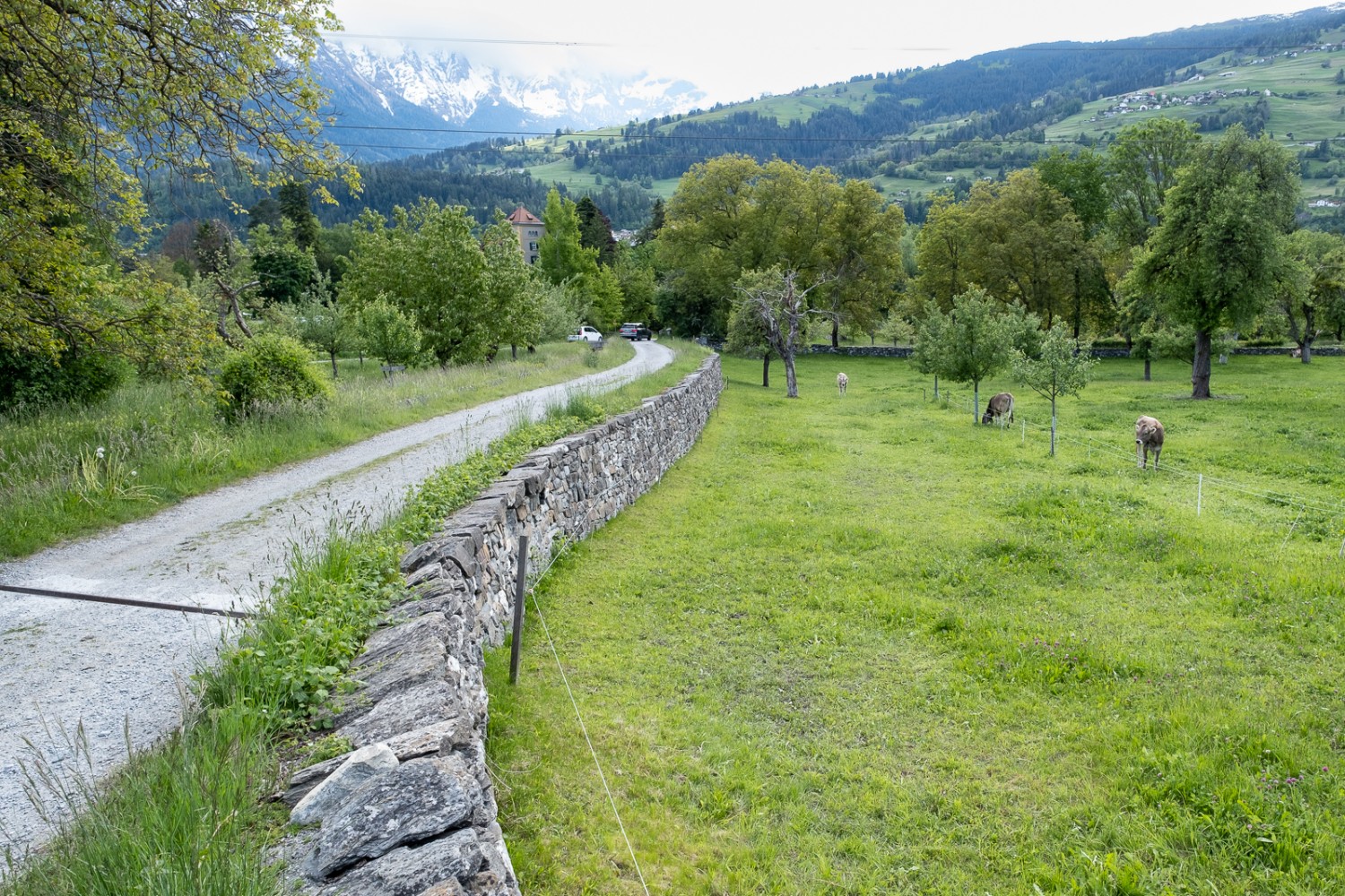 Kurz vor dem Ziel blitzt schon das Schloss Schauenstein durch die Baumwipfel. Bild: Markus Ruff