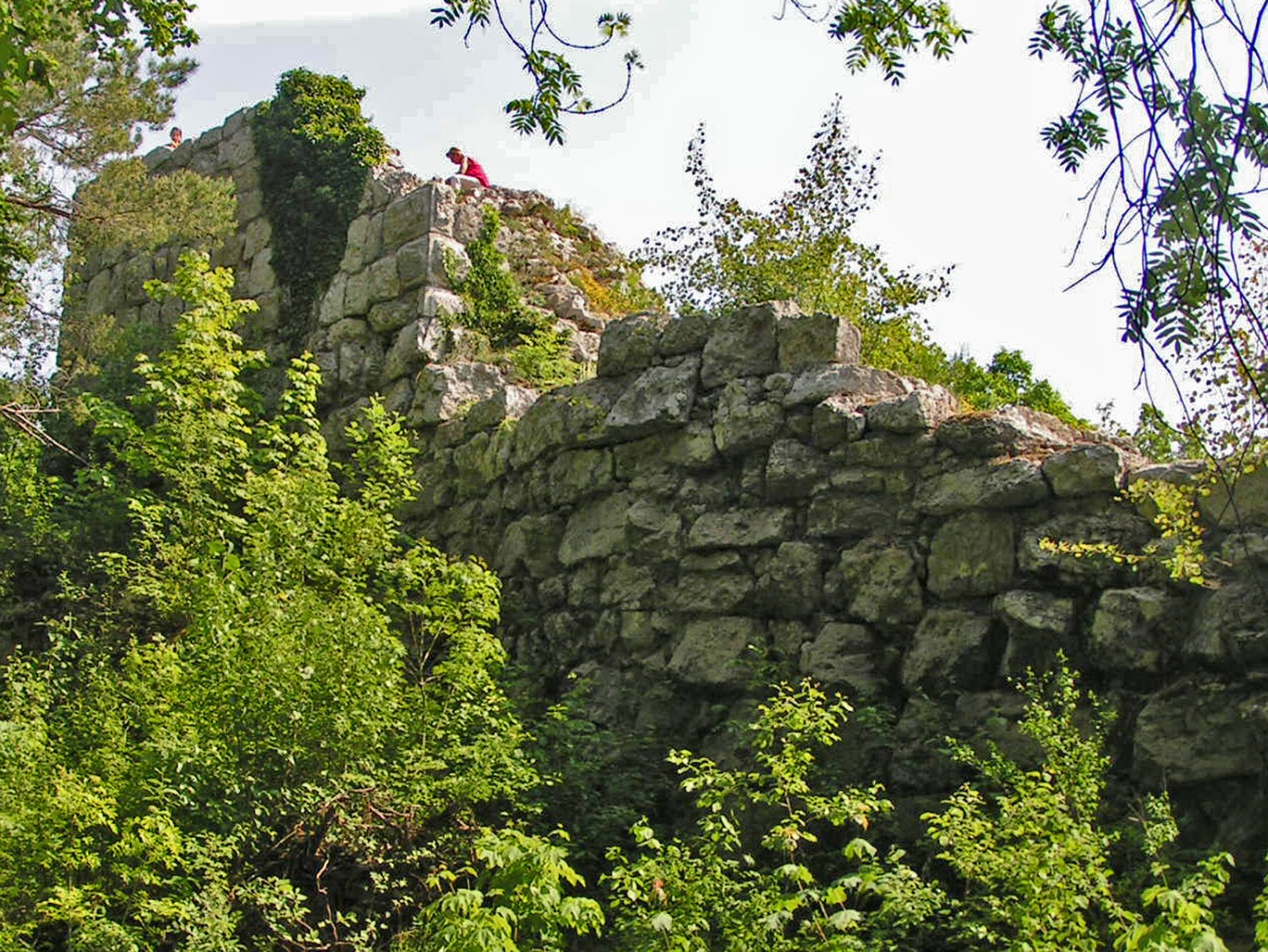 On rejoint les ruines de Radegg en un quart d’heure. Photo: Heinz Trachsler