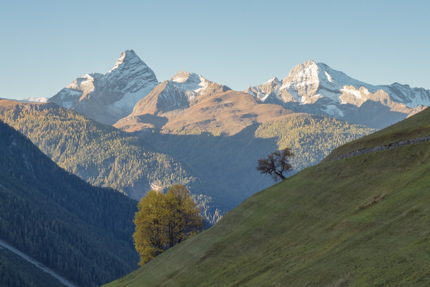 Lumière matinale à Wiesen. Au loin, le Tinzenhorn, le Piz Cuolmet et le Piz Mitgel. Photo: Heinz Staffelbach