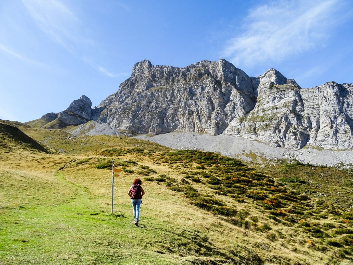 Auf der Alp Grimmi.