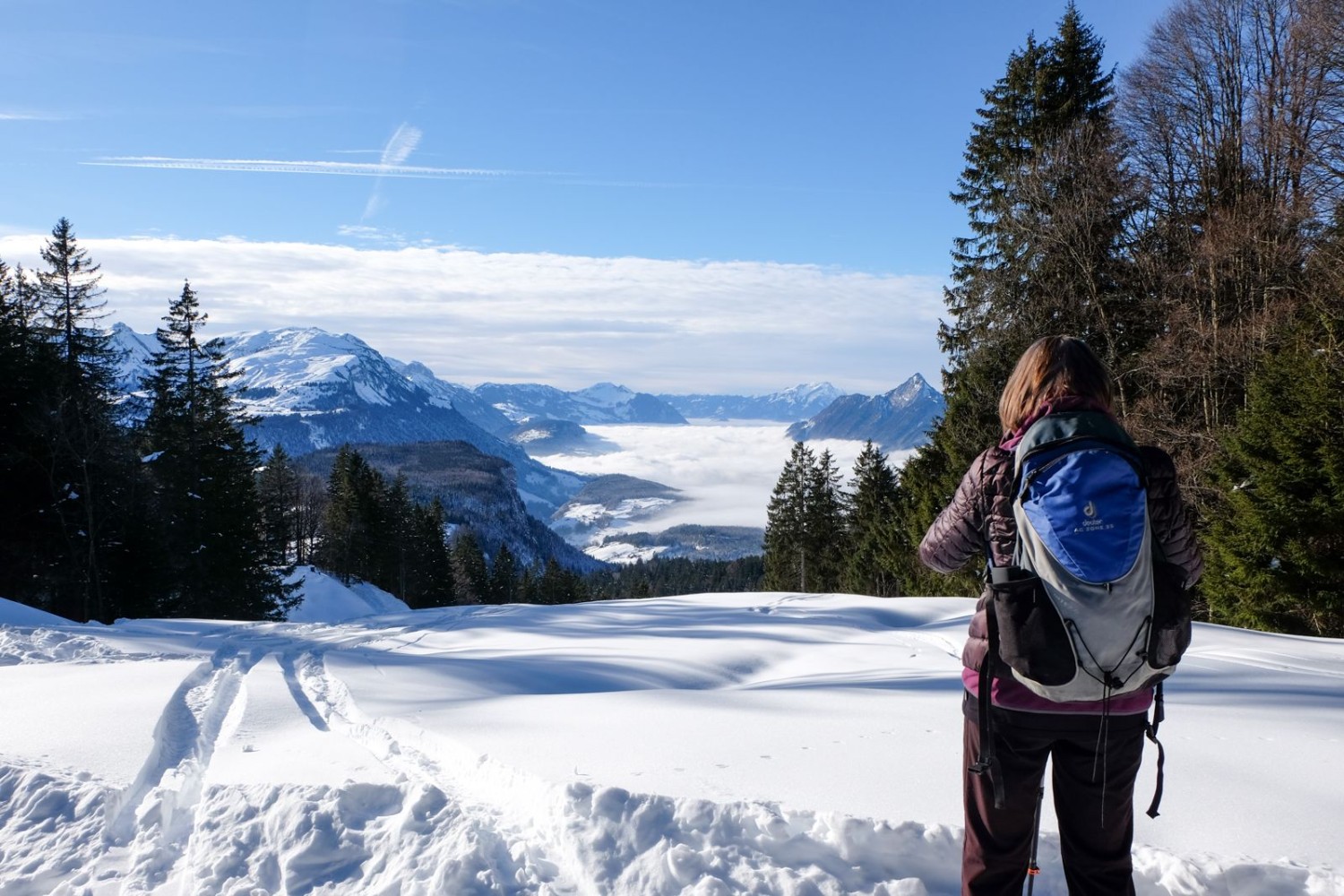 Mer de brouillard au-dessus du lac des Quatre-Cantons