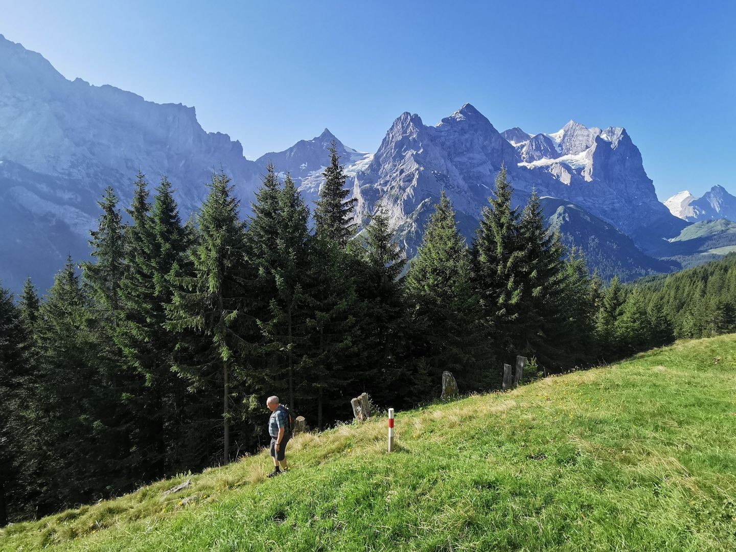 Abstieg von Chrueteren nach Gschwantenmad, im Hintergrund Rosenlaui, Wellhorn und Wetterhorn.