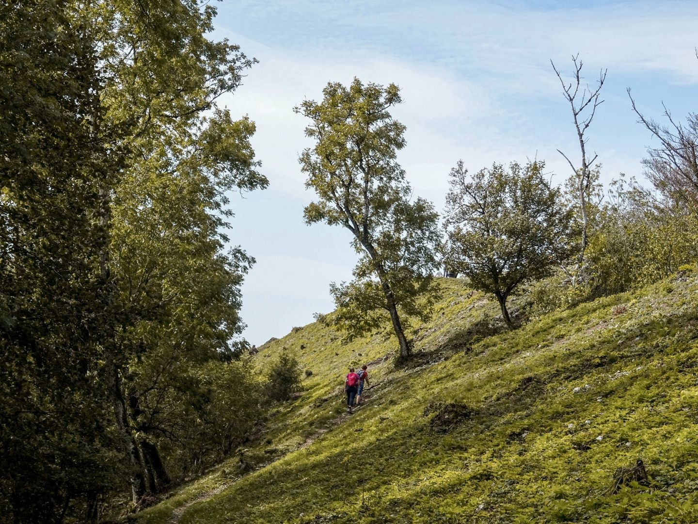 Peu avant le sommet de la Gisliflue