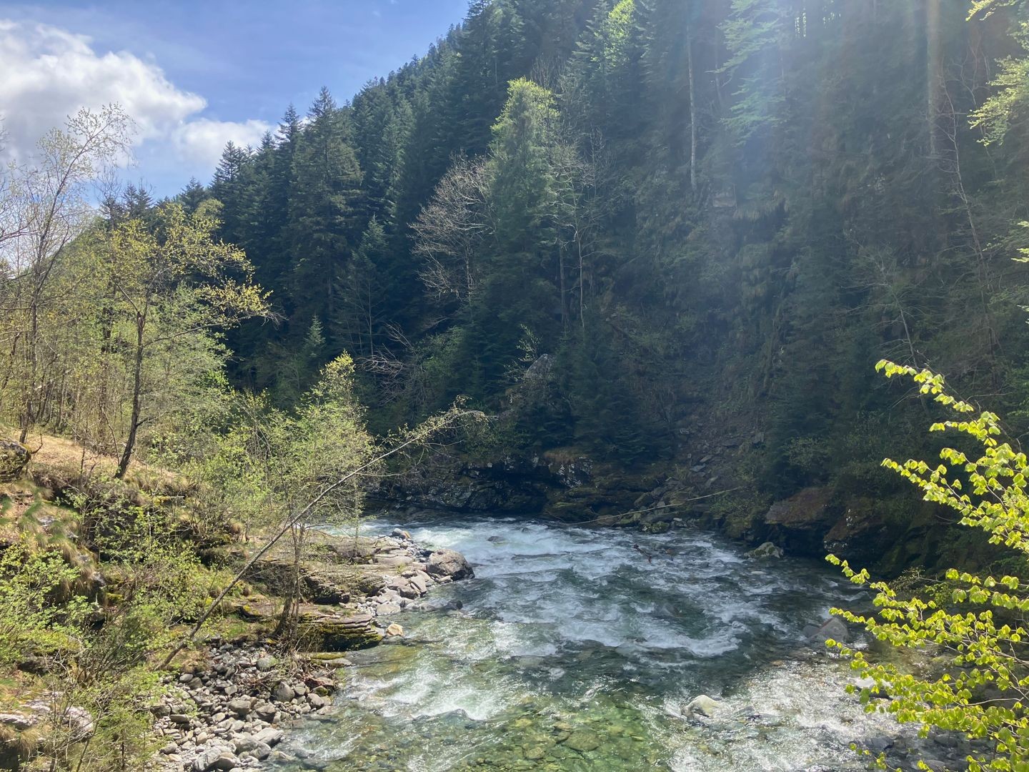 Ruisseau sauvage dans la vallée étroite: l’Isorno, loin en contrebas de Spruga.