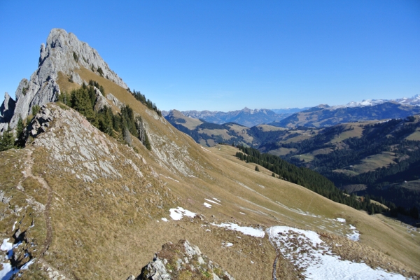 Le long de la Jogne 1