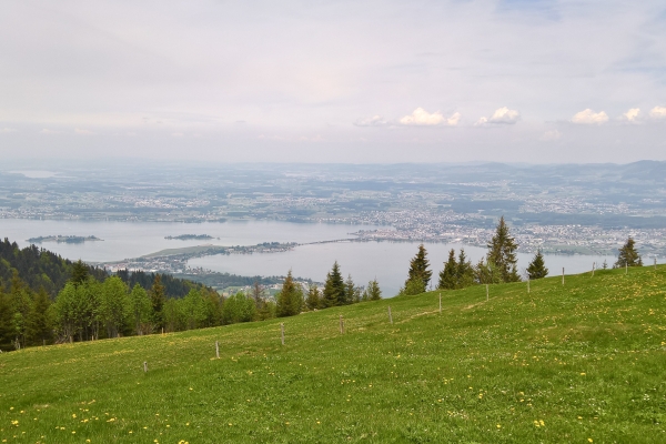 Alpages entre les lacs de Sihl et de Zurich