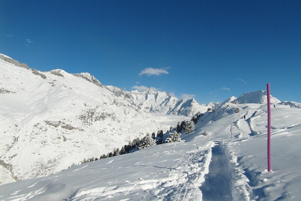 Frisch verschneite Riederalp