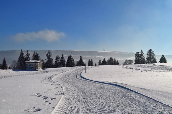 Mit Schneeschuhen über den Mont-Soleil