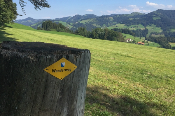 Un’intera giornata nell’Oberland zurighese