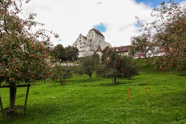 Von einem Schloss zum anderen