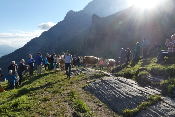 Am Wasserfall vorbei auf die Engstligenalp