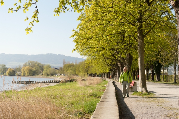 Le lac en point de mire