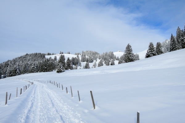 Von Les Paccots nach Les Guedères