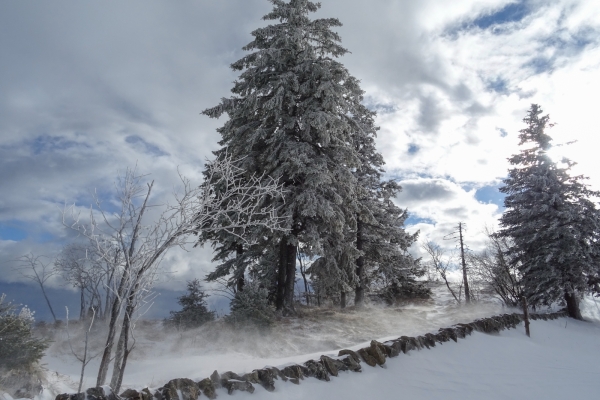 Montagne de Granges: randonnée en raquettes