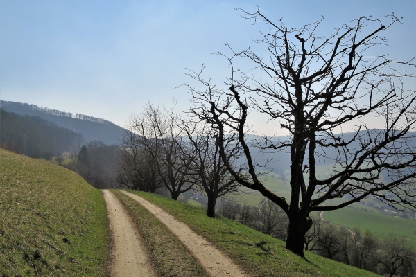 De Wil à Remigen en passant par le Laubberg