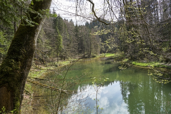 Ostschweizer Grenzwanderung durch wilde Schluchten