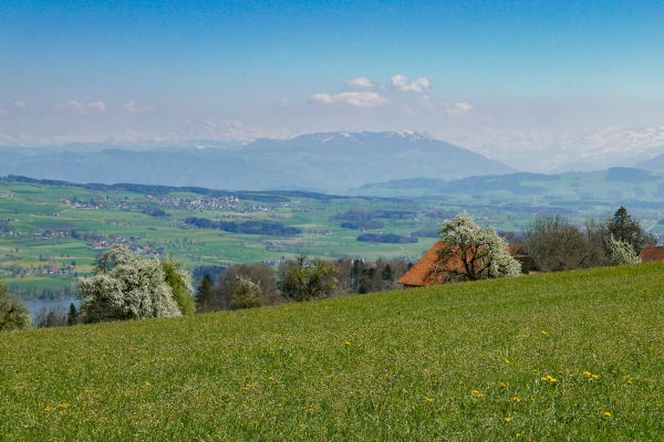 Dalla valle della Wyna al lago di Sempach