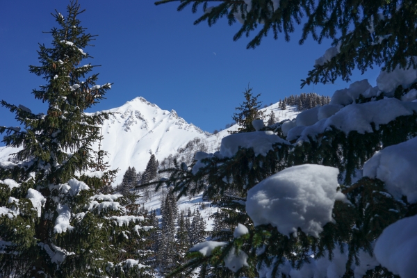 Col des Mosses ensoleillé