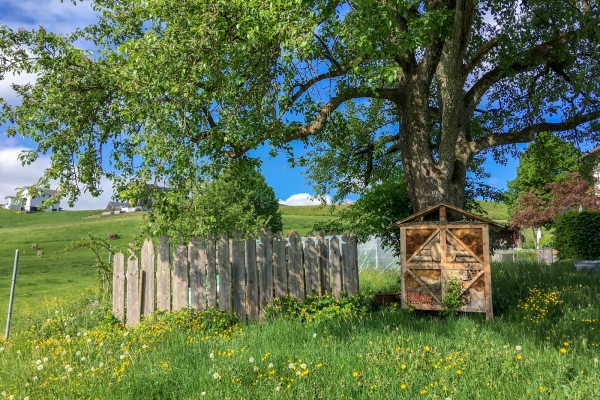 Belles vues sur le Eggen Höhenweg