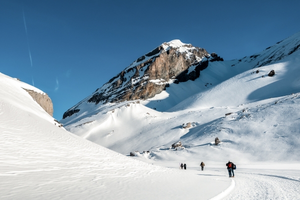 Im Schnee über den Gemmipass