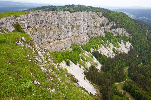 Hinauf zum Mont d’Or