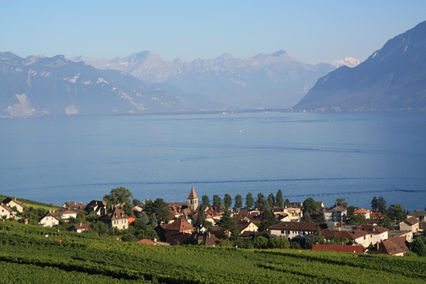 Parcours viticole de Lavaux