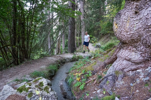 Fieschertal panoramique